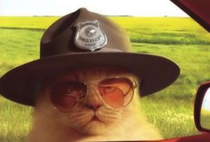 ����� ������ �������������� ���������� �� �������